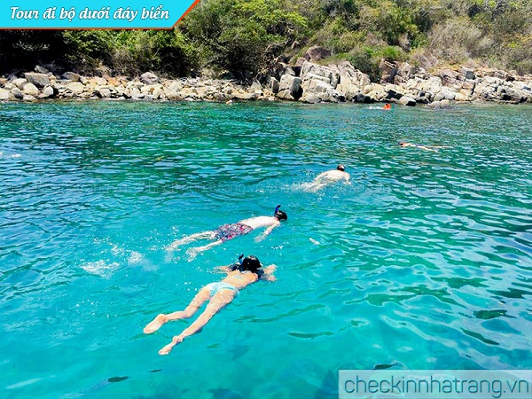 Bơi ngắm san hô biển Nha Trang